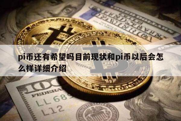 pi币还有希望吗目前现状和pi币以后会怎么样详细介绍-第1张图片-交易所